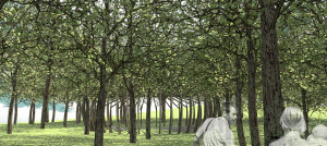 National Arboretum, Canberra, daytime