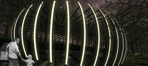 National Arboretum, Canberra, night illumination